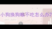 小狗换狗粮不吃怎么办