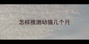 怎样推测幼猫几个月