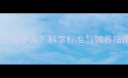 边境牧羊犬5个月大应该多大科学标准与饲养指南附成长对照表