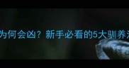 三个月大哈士奇幼犬为何会凶新手必看的5大驯养法则与行为矫正指南