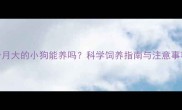 一个月大的小狗能养吗科学饲养指南与注意事项全