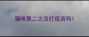 猫咪第二次没打疫苗吗