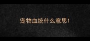 宠物血统什么意思