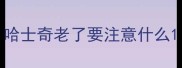 哈士奇老了要注意什么