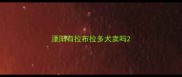 溧阳有拉布拉多犬卖吗