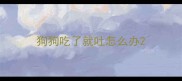 狗狗吃了就吐怎么办