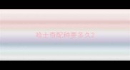 哈士奇配种要多久