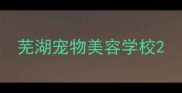 芜湖宠物美容学校