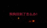 狗狗扭到了怎么办
