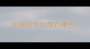 狗狗常见的病有哪些