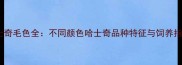 哈士奇毛色全不同颜色哈士奇品种特征与饲养指南