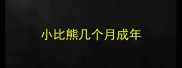 小比熊几个月成年