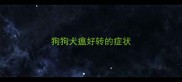 狗狗犬瘟好转的症状