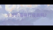 半岁的猫咪打疫苗吗