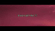 泰迪多大就不调皮了