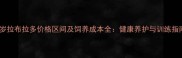 一岁拉布拉多价格区间及饲养成本全健康养护与训练指南