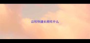 边牧快速长肥吃什么