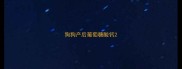 狗狗产后葡萄糖酸钙