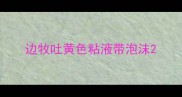 边牧吐黄色粘液带泡沫