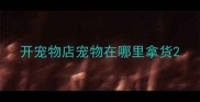开宠物店宠物在哪里拿货