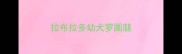 拉布拉多幼犬罗圈腿
