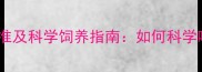 四个月金毛体重标准及科学饲养指南如何科学喂养幼犬健康成长