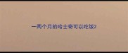 一两个月的哈士奇可以吃饭