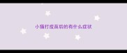 小猫打疫苗后的有什么症状