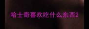 哈士奇喜欢吃什么东西