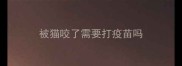 被猫咬了需要打疫苗吗