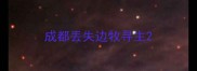 成都丢失边牧寻主