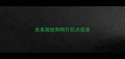 在美国给狗狗打狂犬疫苗