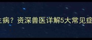 幼犬两个月大突然生病资深兽医详解5大常见症状与专业护理方案