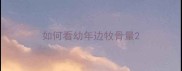 如何看幼年边牧骨量