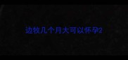 边牧几个月大可以怀孕
