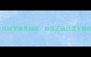 边境牧羊犬幼犬3-6个月科学喂养指南如何正确过渡干粮喂养及健康发育关键期