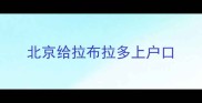 北京给拉布拉多上户口
