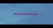 狗狗洗澡后能打疫苗吗