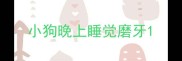 小狗晚上睡觉磨牙