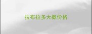 拉布拉多大概价格