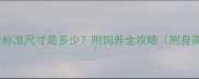 拉布拉多成年犬标准尺寸是多少附饲养全攻略附身高体重对照表