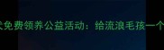 上海泰迪犬免费领养公益活动给流浪毛孩一个温暖的家