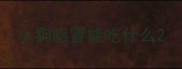 小狗感冒能吃什么