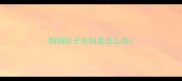 狗狗肚子在叫是怎么办