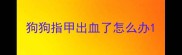狗狗指甲出血了怎么办