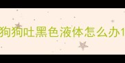 狗狗吐黑色液体怎么办