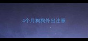 4个月狗狗外出注意