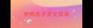 狗狗名字英文简单