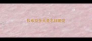 拉布拉多犬是怎样睡觉
