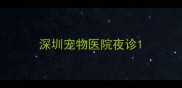 深圳宠物医院夜诊